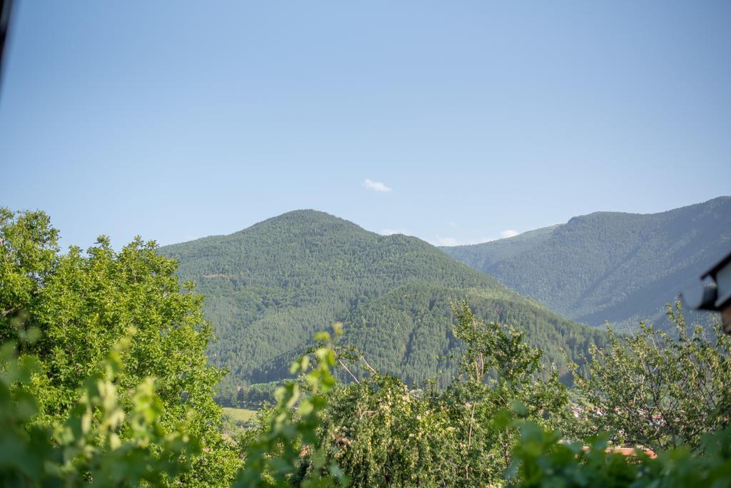 Guesthouse Juli Sapareva Banya Bagian luar foto