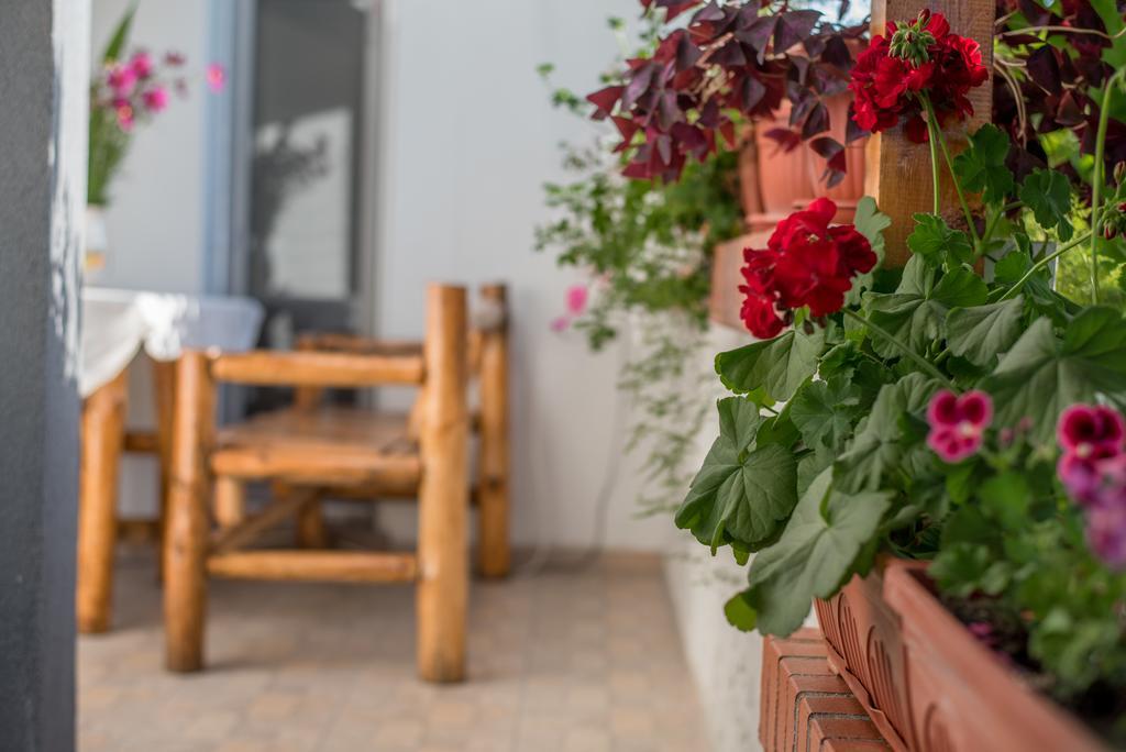 Guesthouse Juli Sapareva Banya Bagian luar foto