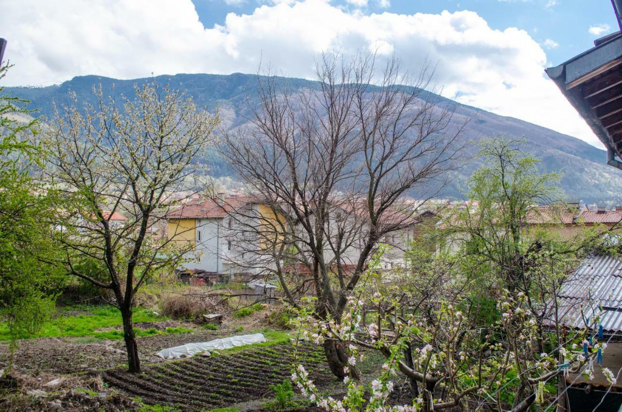 Guesthouse Juli Sapareva Banya Bagian luar foto
