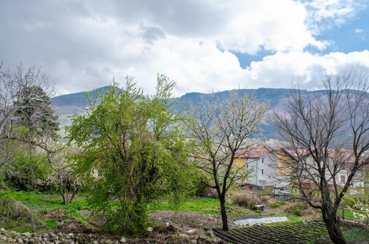 Guesthouse Juli Sapareva Banya Bagian luar foto